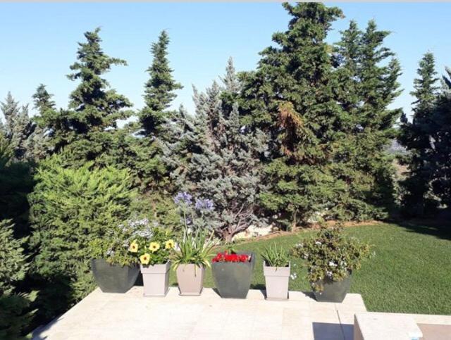 Villa Corina Near The Airport Kouvaras Exterior photo